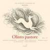Hndel, G. F. (Bonizzoni) - Le Cantate Italiane di Handel VI (Le Cantate per il  Marchese Ruspoli 4): Olinto pastore