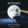 Echoes - Barefoot to the Moon; An acoustic Tribute to Pink Floyd