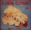 Glowing Elephants - Radioactive Creampieces