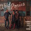 Wild Ponies - Things that used to shine